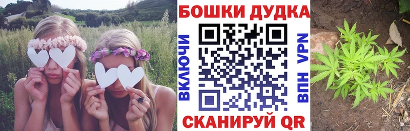 Купить где Алапаевск Шишки марихуана LSD WEED